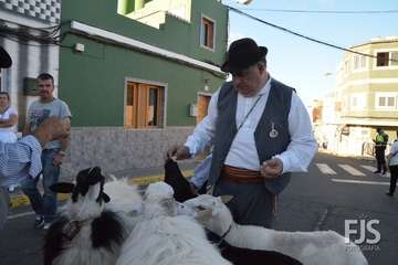 Alegre y participativa romería en El Ejido (Foto FJ Santana y TF)